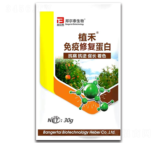 �����ޏ�(f��)����-ֲ��-�̩