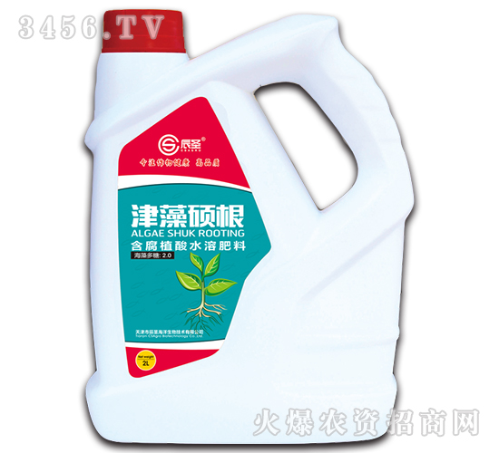 ��������ˮ�ܷ�-����T��-��ʥ