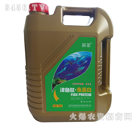 ���~�ġ��~����-��ʥ