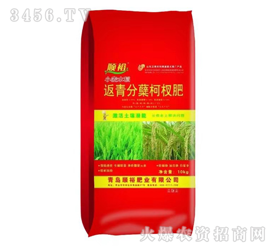 ������Y��辷�-�ԣ