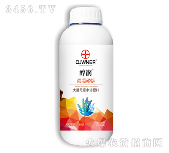 �������-����(r��n)-�Z����