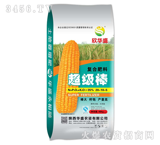 �ͺϷ���20-10-5-������-���Aʢ