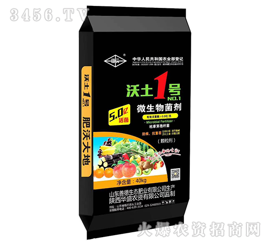 ΢�������-����1̖-���Aʢ