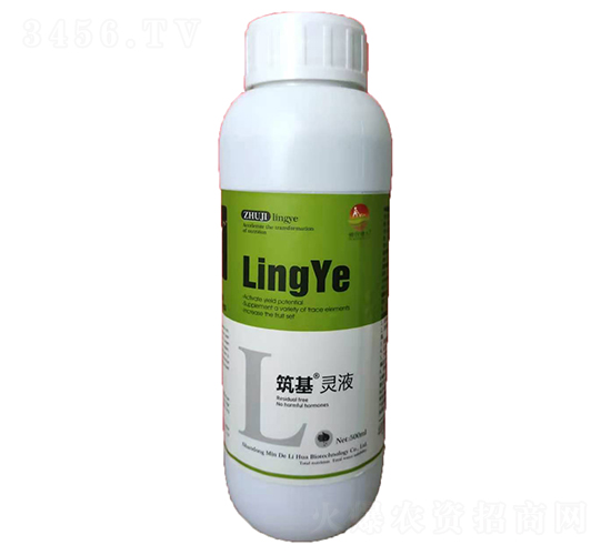 �����`Һ-������A