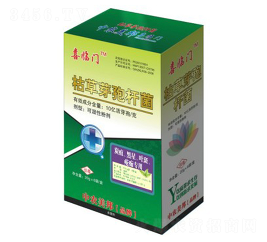 �ݲ�ѿ�ߗU����̿�����������~�ߣ�-ϲ�R�T-���r(n��ng)����