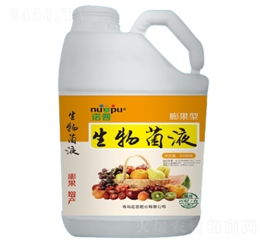 �����Һ-�Z��