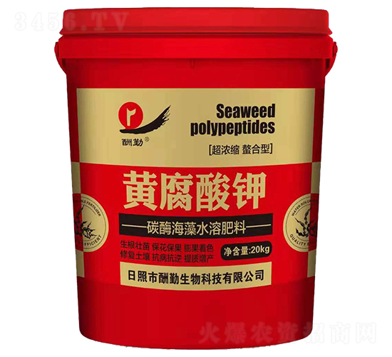 20kg�S�����-����