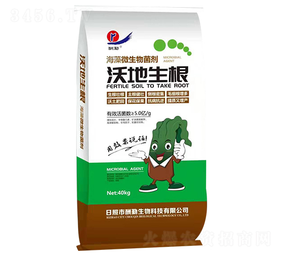 ����΢�������-�ֵ�����-����