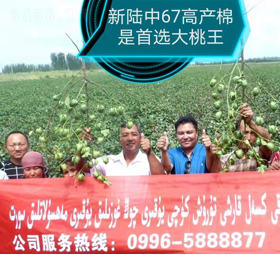 �����67�߮a(ch��n)��-���SԪ