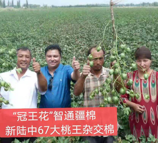 �����67��������Ч���D��-���SԪ