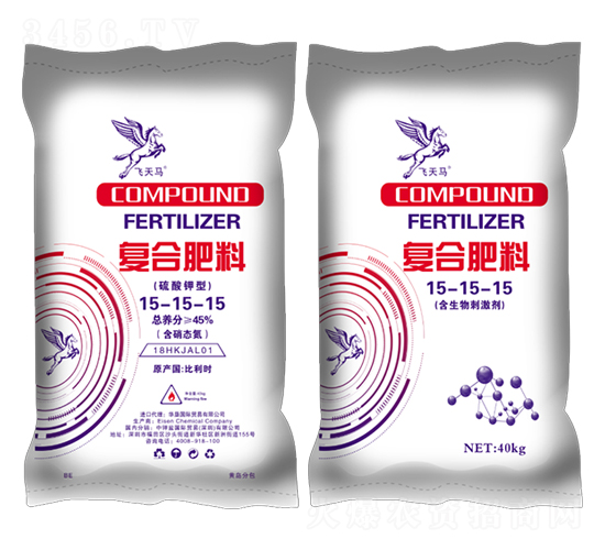 ������͏ͺϷ���15-15-15-�w���R-����}