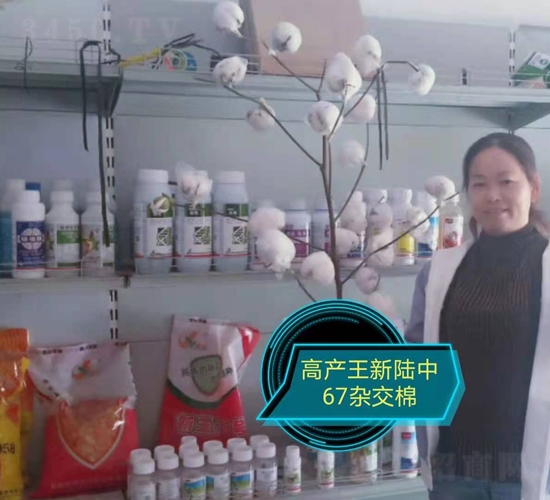 �����67�s����-���SԪ