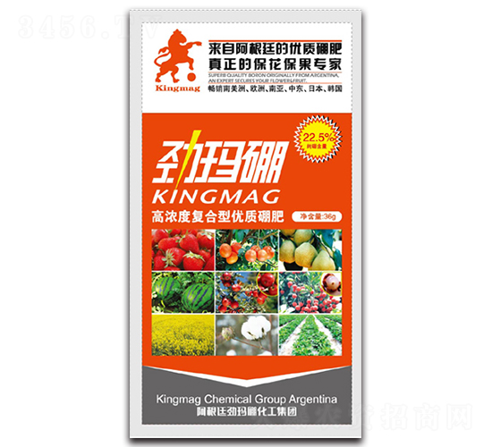 �Ŭ���-����