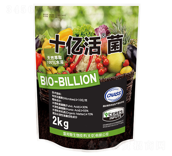 ʮ�|���-�װ�˹