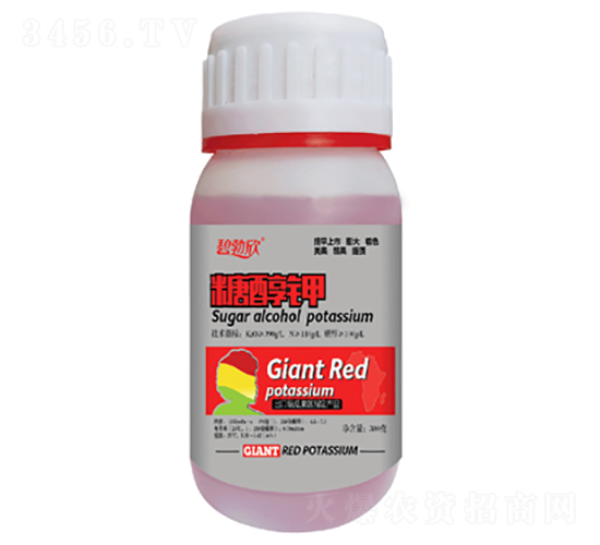 �Ǵ��-�̲���-���̷ʘI(y��)