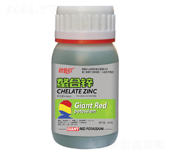 �����\-�̲���-���̷ʘI(y��)