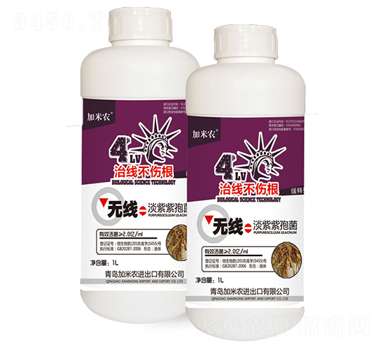 �������߾�-�����r(n��ng)