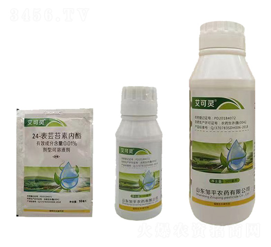 24-���|̦�؃�(n��i)��-�����`-�����