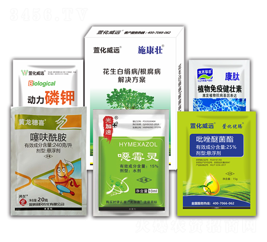 �����׽�����������Q����-ʩ����-�滯���h