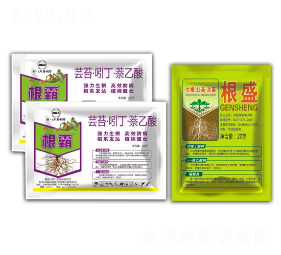 ��ʢ+����-�滯���h