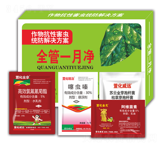 ȫ��һ��-�滯���h