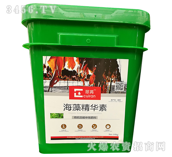 ���徫�A��-����-��������