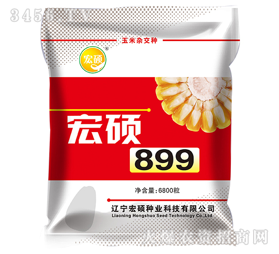 ��T899-�����s���N-��T�N�I(y��)