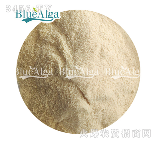 �~(y��)���ף��ۄ���-���u�{(l��n)��