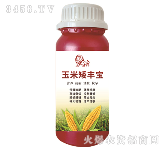 ���װ��S��-嫪{