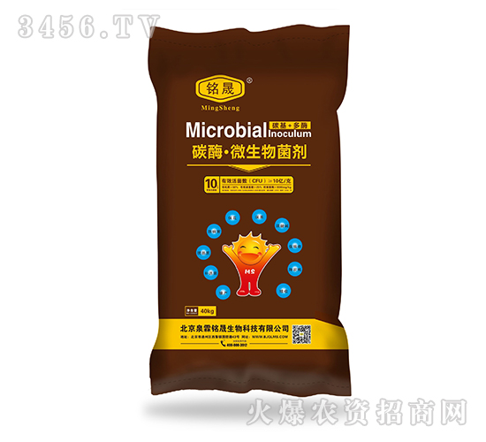 ̼ø��΢���������10�|/�ˣ�-���