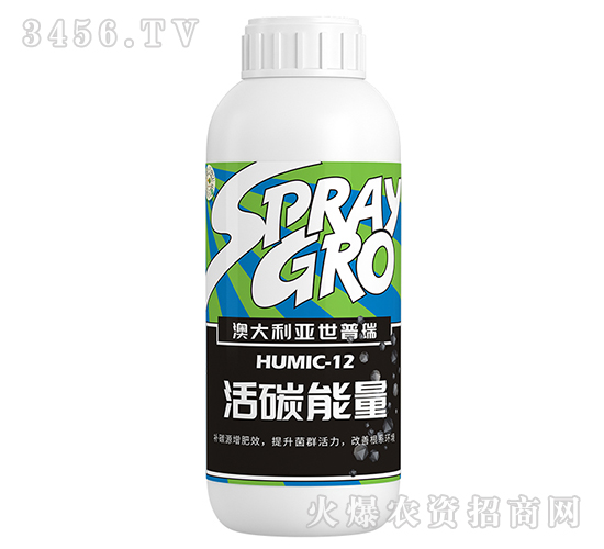 ��̼����-����