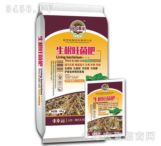 ����������-��@���S-���S�ʘI(y��)