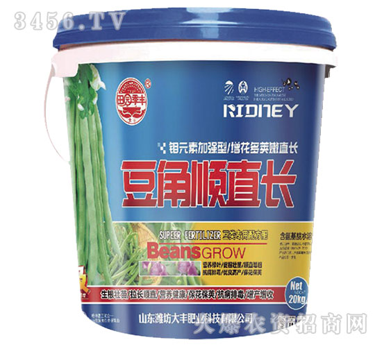 �����ֱ�L(zh��ng)-��@���S-���S�ʘI(y��)