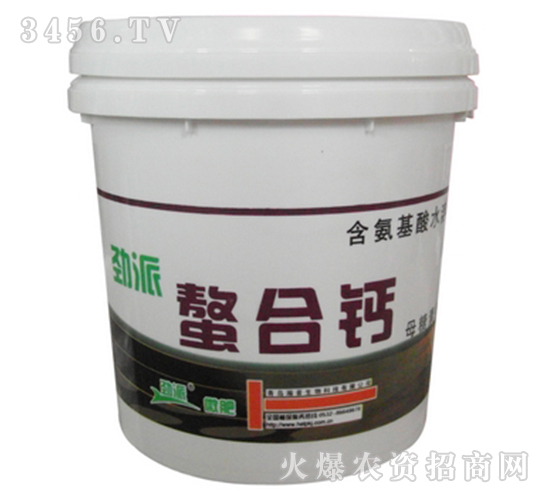 �����}-����-�������