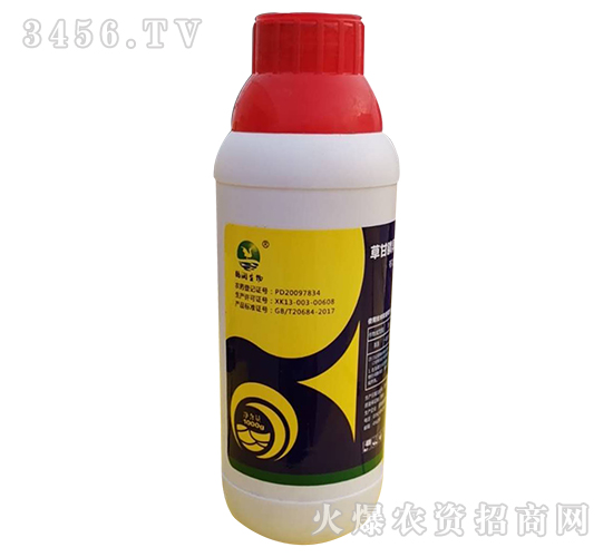 �ݸ����������}��41%��-����ɭ