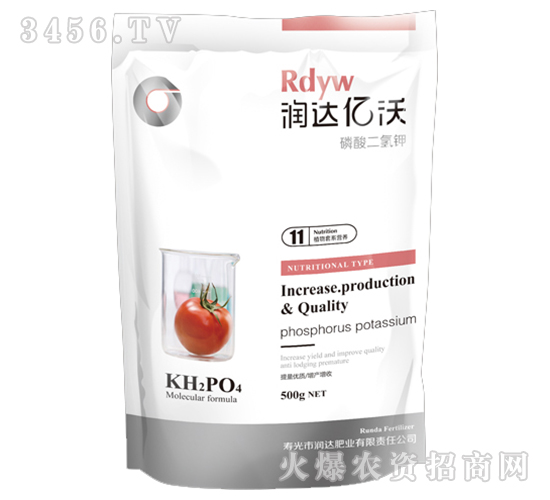 ��������-���_�|��11̖-���_�ʘI(y��)