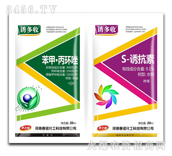 ���ס����h(hu��n)��+S-�T����-�T����-ِ�Z����