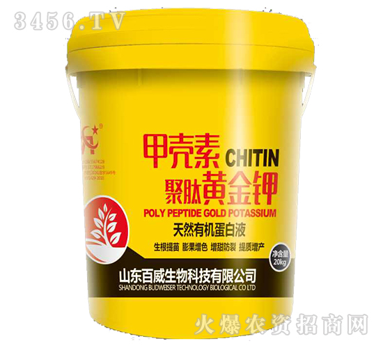 �ך���-�����S���-��������