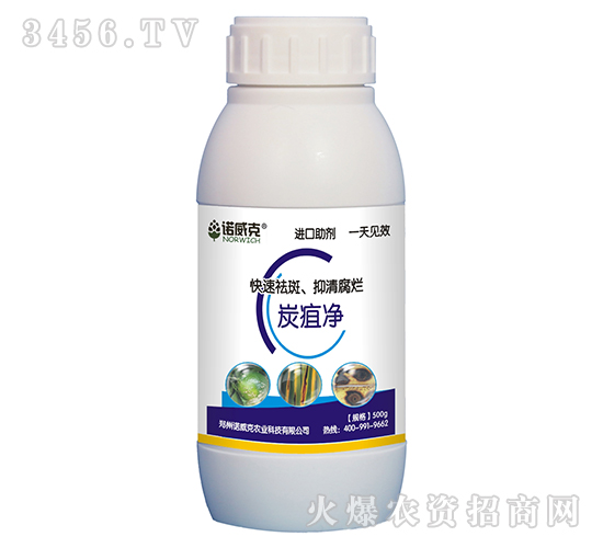 ̿�҃�-�Z����