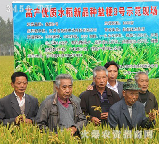 �}��9̖-ˮ���N��-�߿ƷN�I(y��)