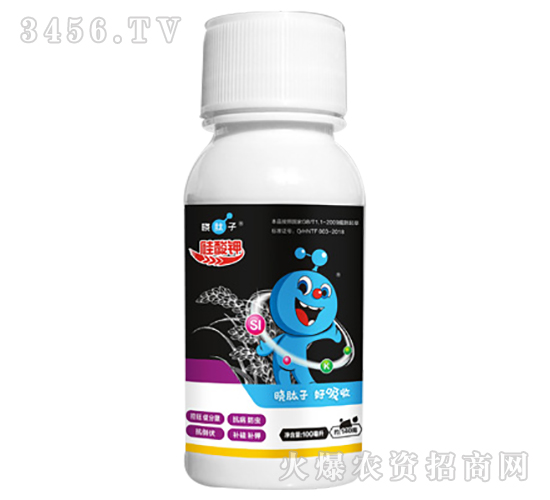 �����-�Lɭ����