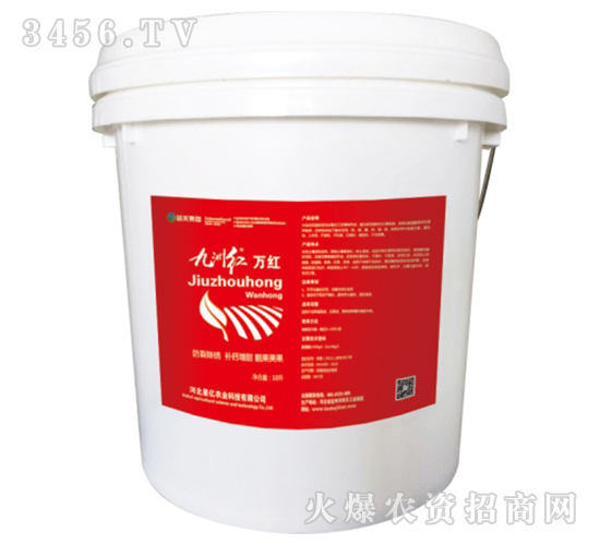 ���޼t�f(w��n)�t-�{(l��n)������