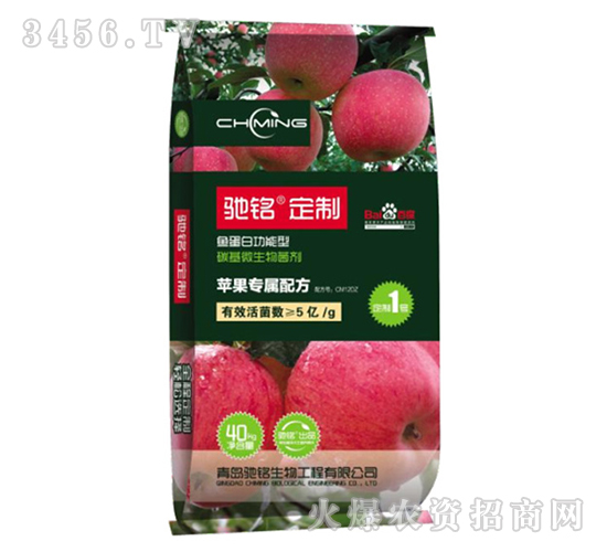 �O������΢�������-�Y㑶���-�Y�����