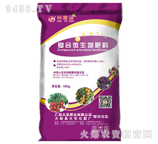 ���w��(f��)��΢�������-�Aϲ��-���A