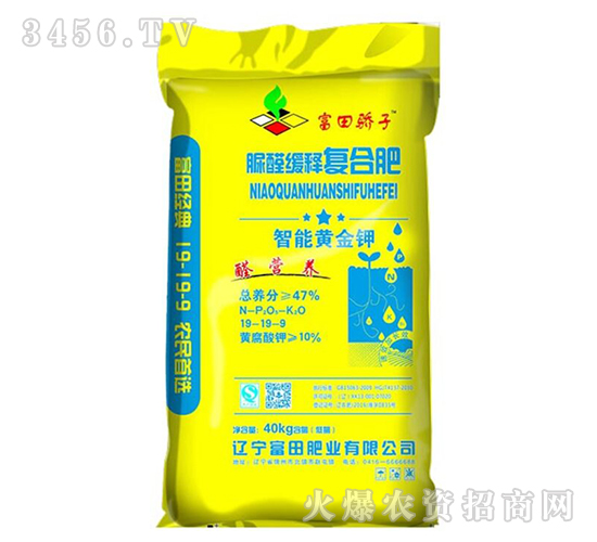 ���ȩ��ጏͺϷ���19-19-9-�������-����ʘI(y��)