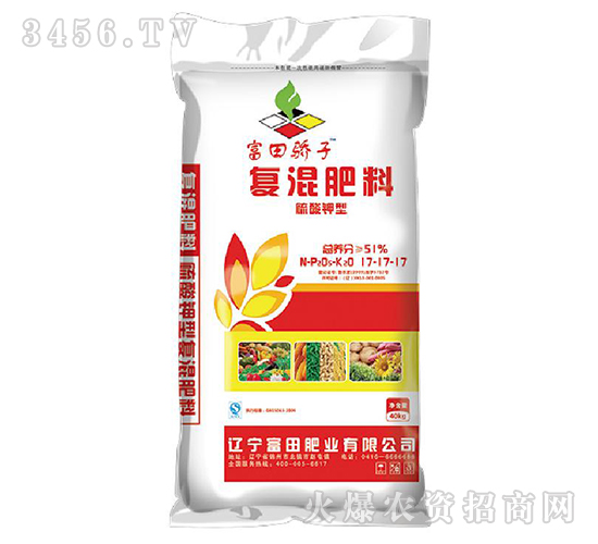 ������͏�(f��)�����17-17-17-�������-����ʘI(y��)