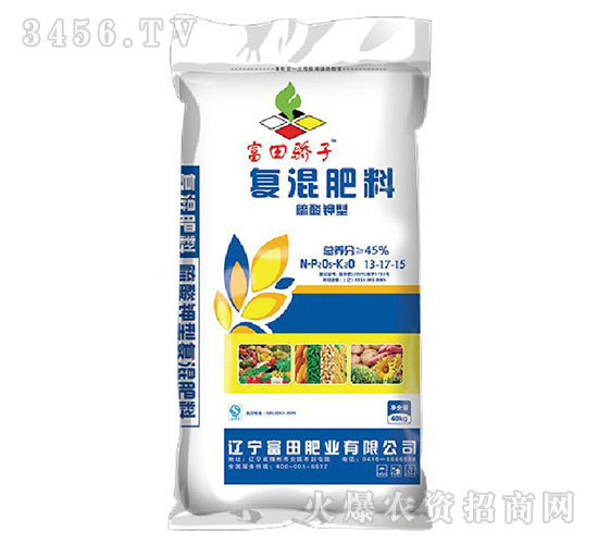 ������͏�(f��)�����13-17-15-�������-����ʘI(y��)