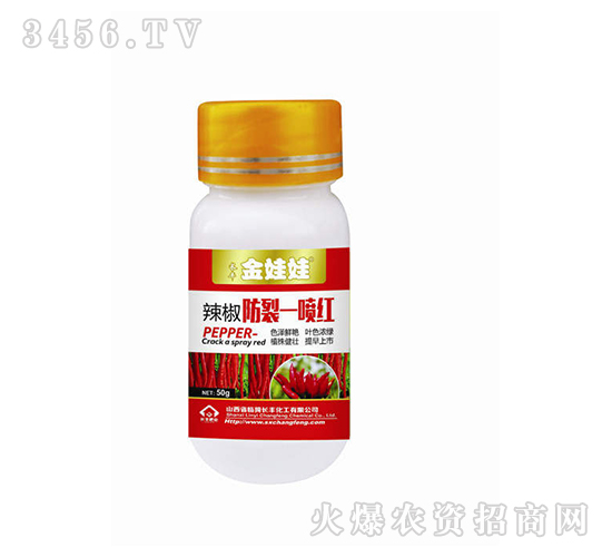 ��������һ���t-������-�L(zh��ng)�S