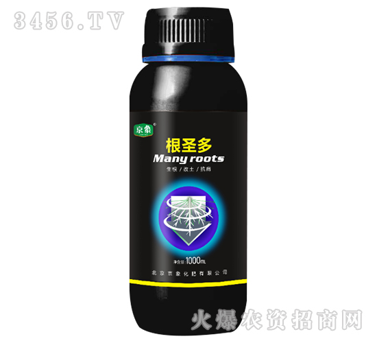 ��ʥ��-����