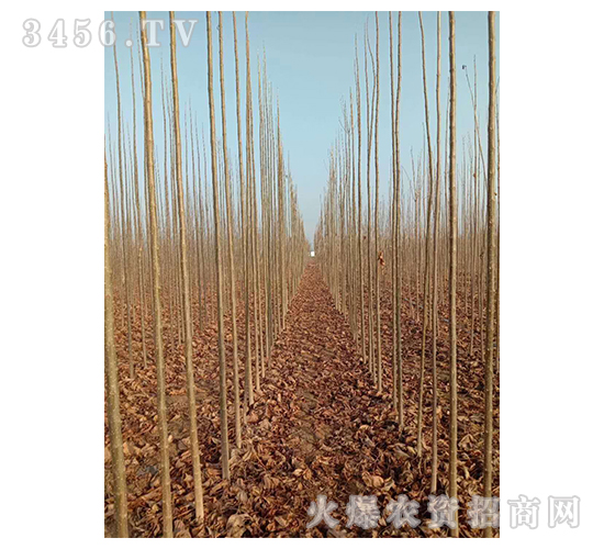 2020��鱘�ӆ�λ����Ŀ16